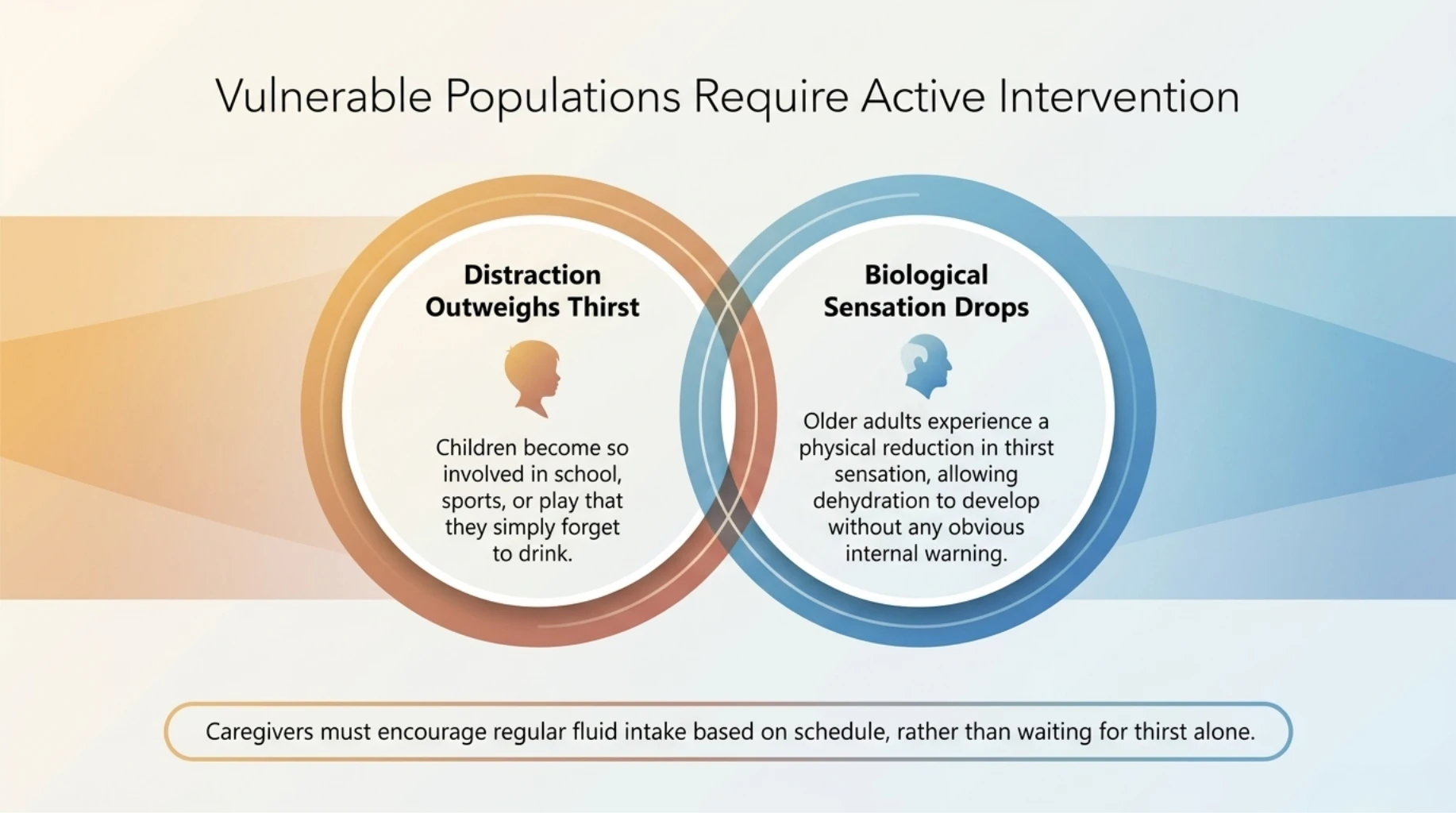 Infographic showing why children and older adults are more vulnerable to hidden dehydration due to reduced thirst awareness and distractions.