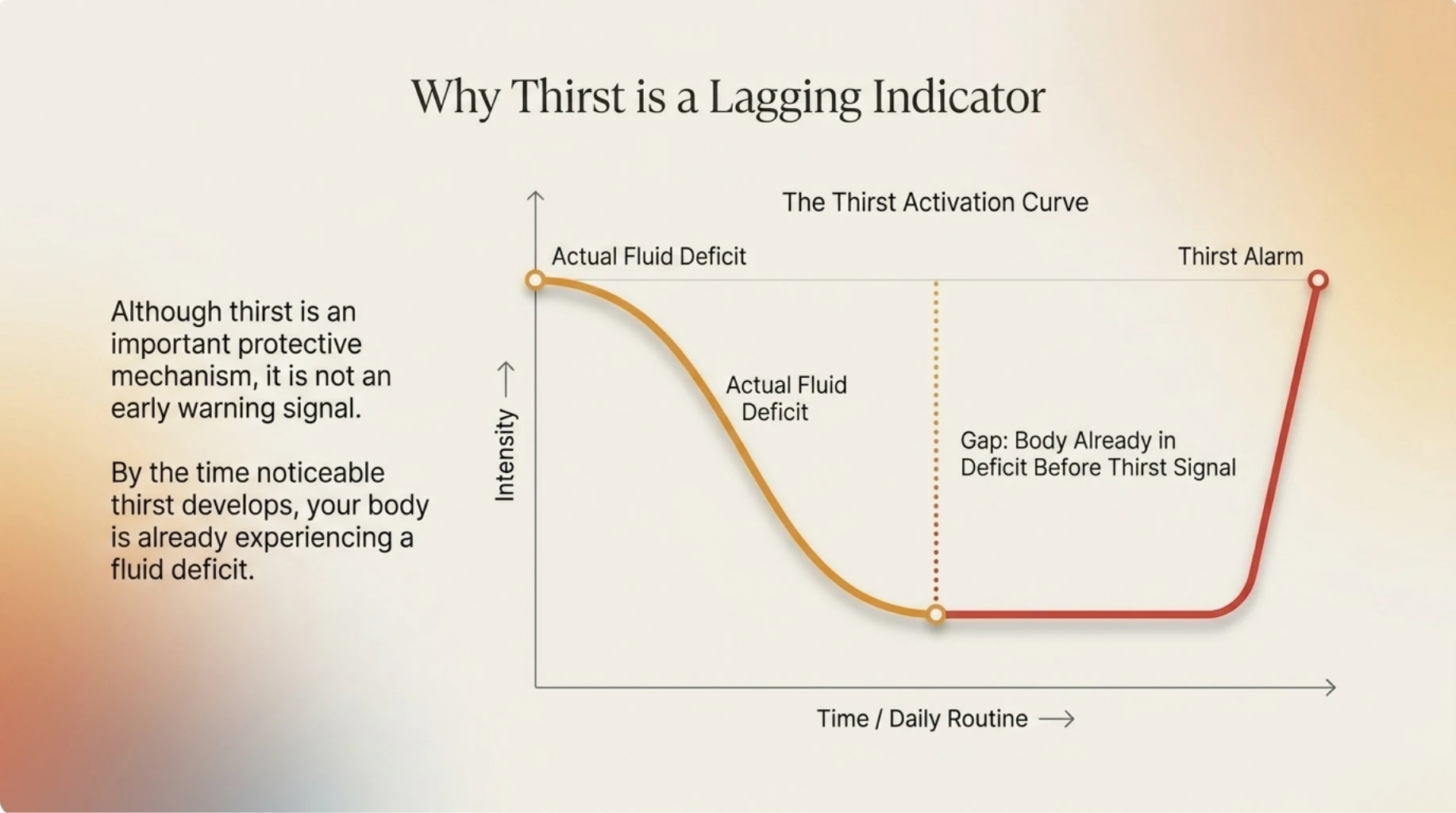 Graph showing why thirst is a delayed warning sign, illustrating that fluid deficit develops before noticeable thirst occurs.