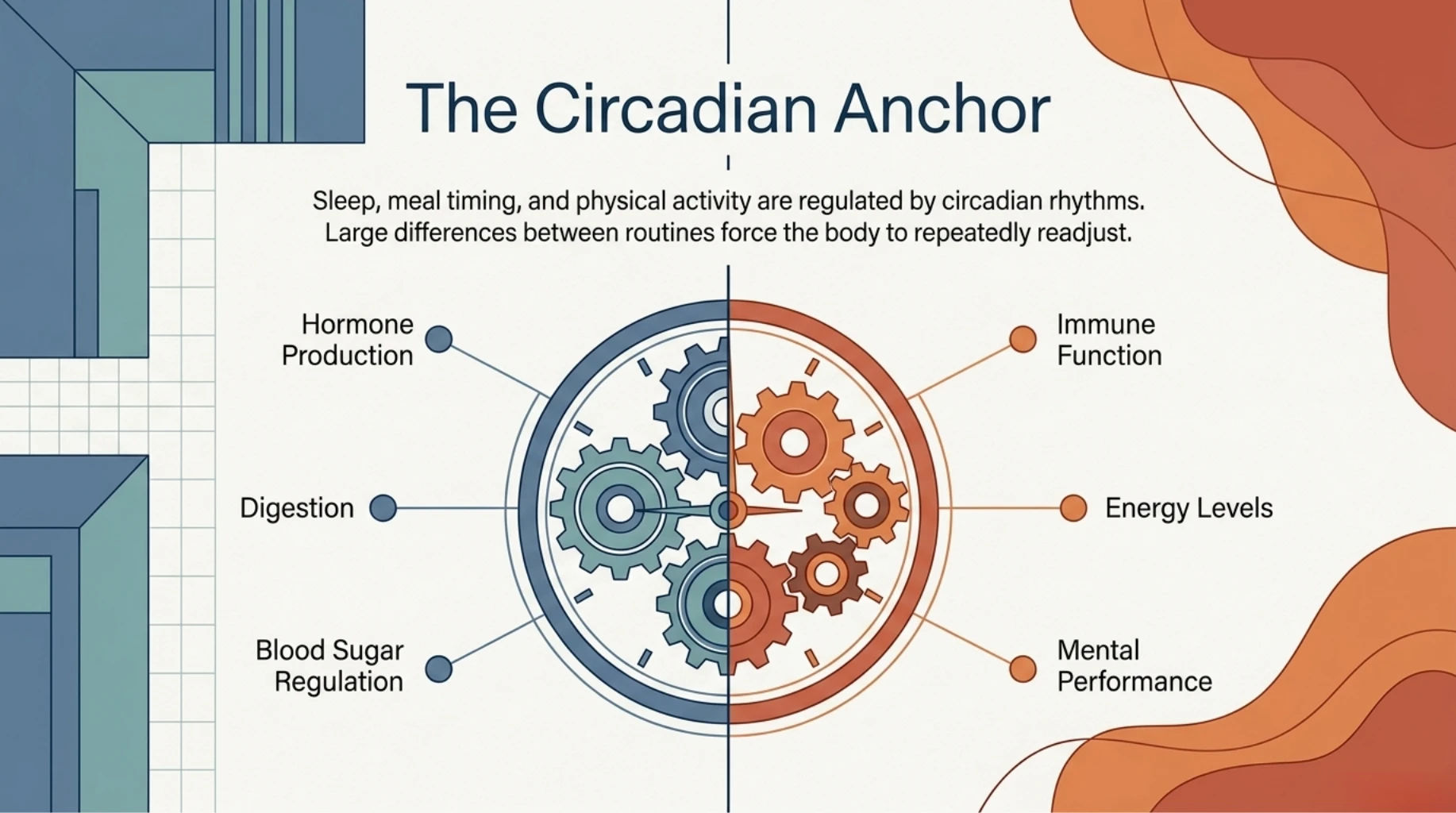 Infographic explaining how circadian rhythms regulate sleep, hormones, digestion, blood sugar, immunity, energy, and mental performance, and how irregular weekend routines disrupt these processes.