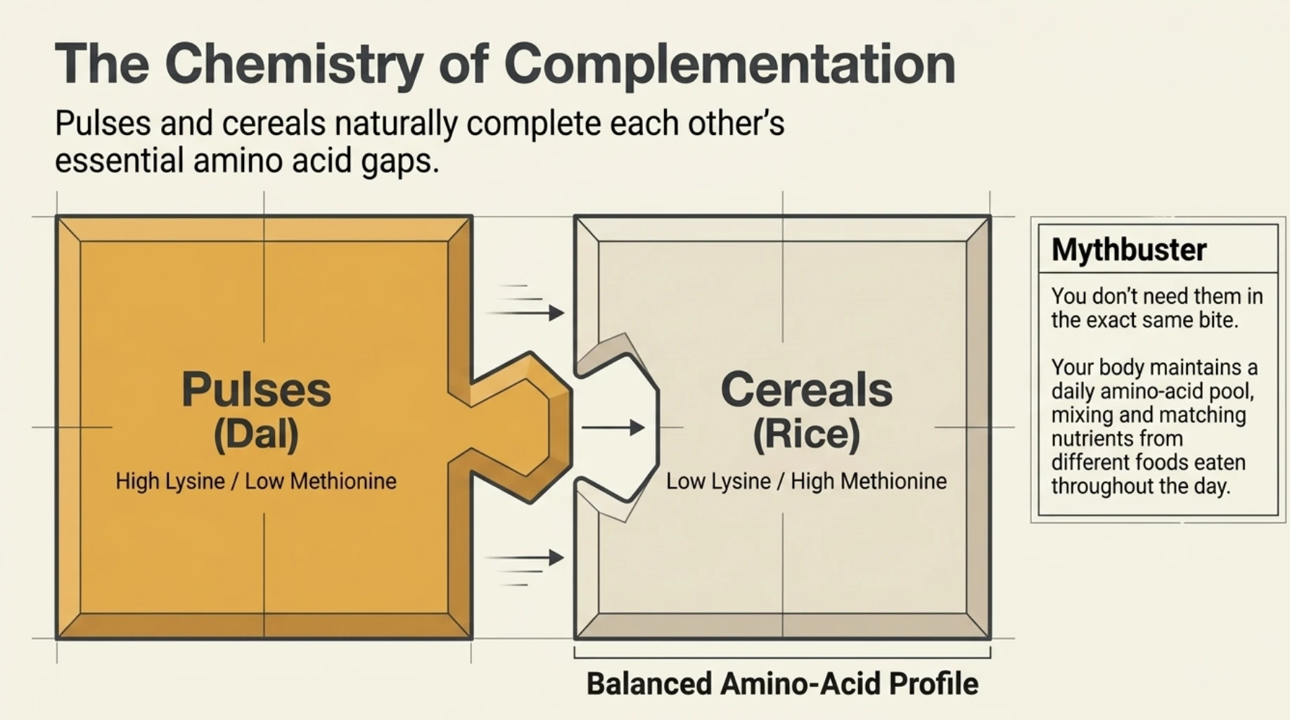 Dal and rice amino acid complementation showing how pulses and cereals provide a more balanced essential amino acid profile.