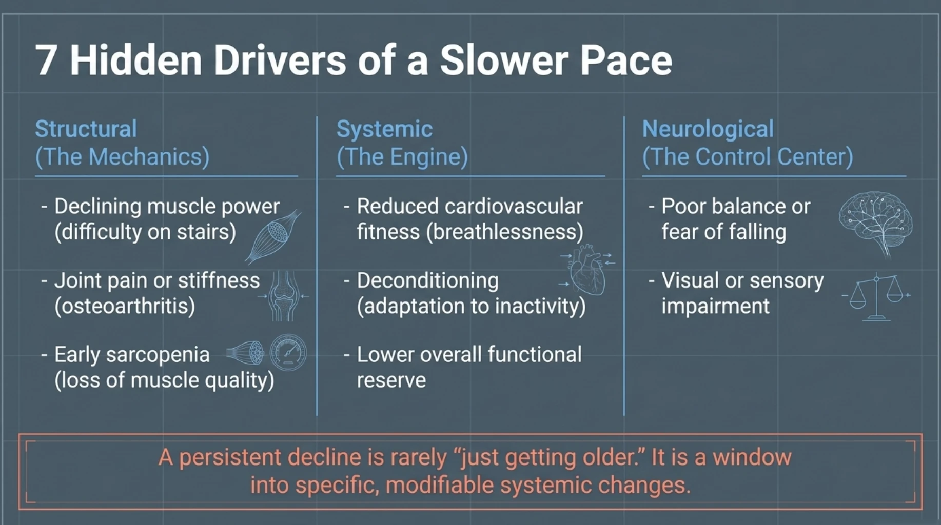 Common causes of slower walking speed include declining muscle power, joint stiffness, reduced cardiovascular fitness, poor balance and sensory impairment.