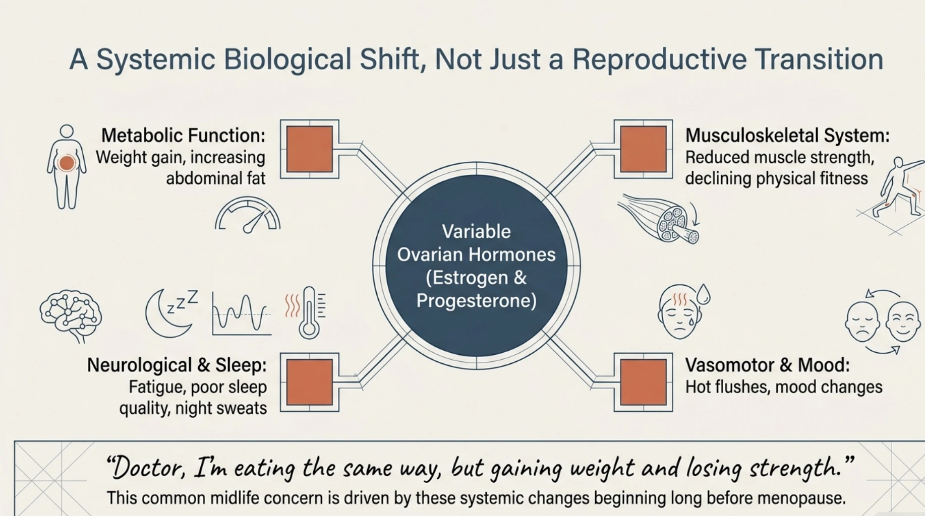 Infographic showing how fluctuating estrogen and progesterone during perimenopause affect metabolic function, muscle strength, sleep quality, mood, hot flashes, and abdominal fat distribution.