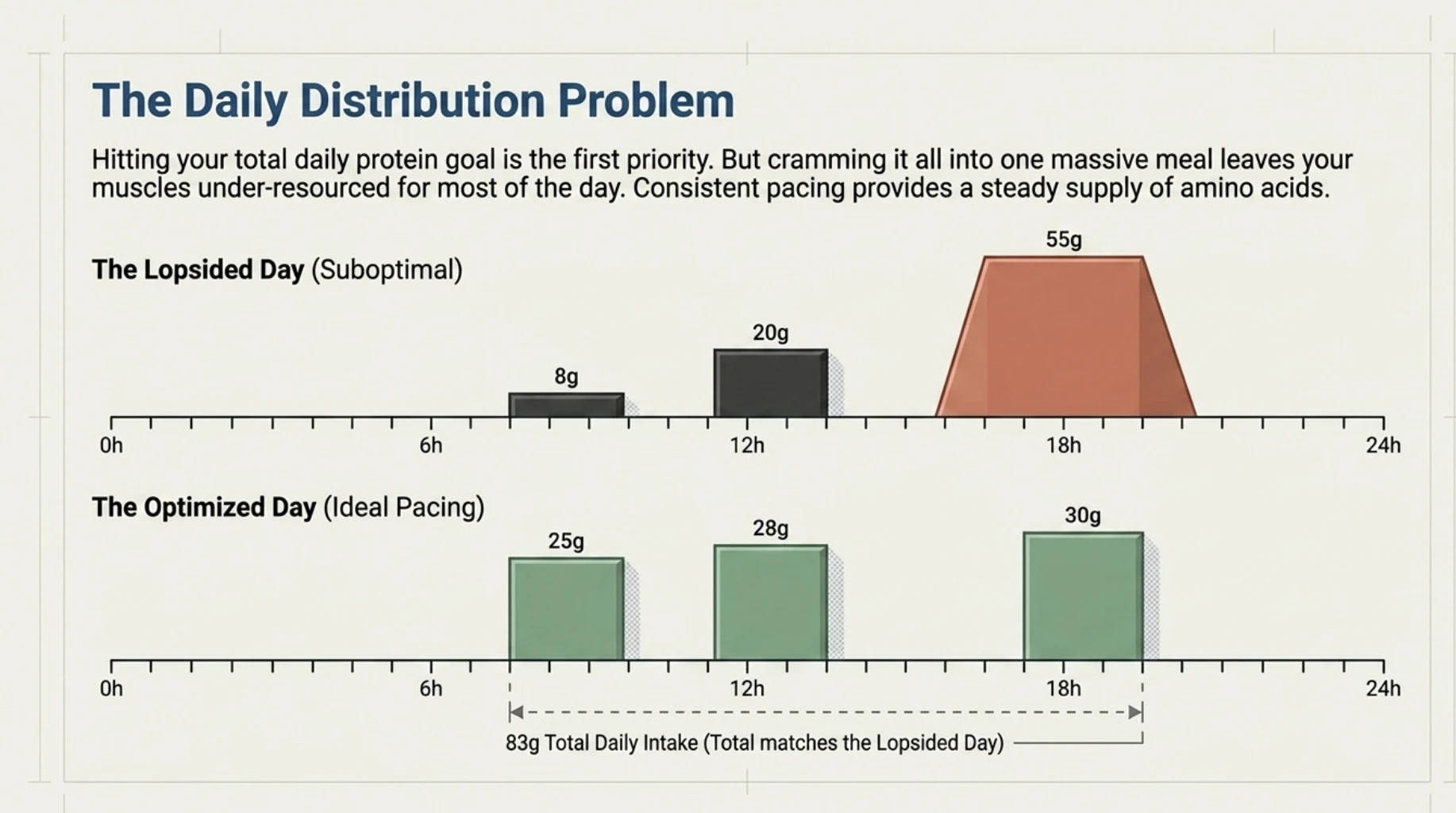 Chart comparing uneven and balanced daily protein distribution, showing how spreading protein across meals provides a more consistent supply of amino acids.