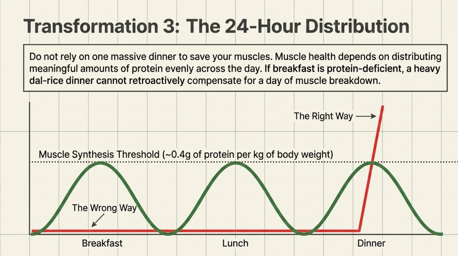 Protein distribution across breakfast, lunch and dinner illustrating the importance of spreading protein intake throughout the day for muscle health.