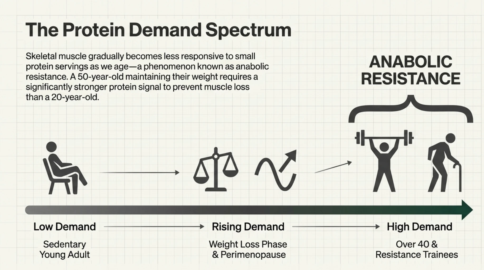 Protein demand spectrum showing how protein needs for muscle health can increase with age, weight loss and resistance training.
