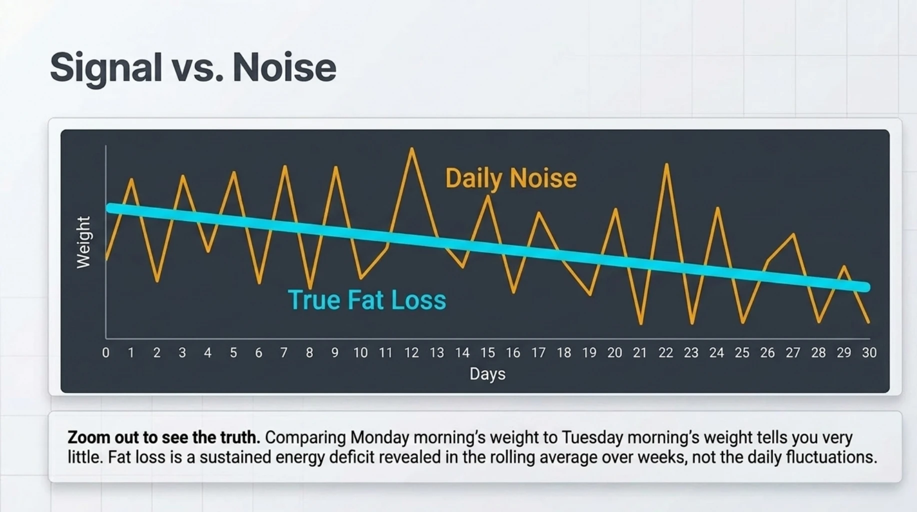 Graph comparing daily weight fluctuations with the underlying fat-loss trend, showing why short-term scale changes may hide real weight-loss progress.