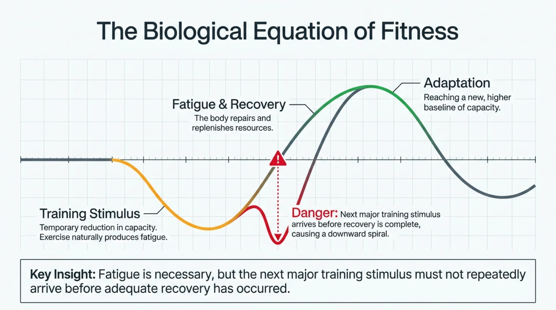 Training stimulus temporarily creates fatigue, followed by recovery and adaptation that can improve physical performance when adequate recovery occurs