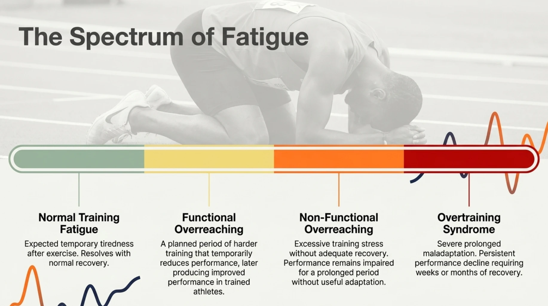 Exercise fatigue spectrum from normal training fatigue and functional overreaching to non-functional overreaching and overtraining syndrome