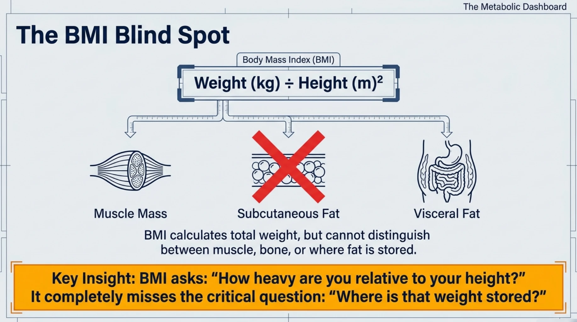 Limitations of BMI showing that body mass index cannot distinguish muscle mass, subcutaneous fat or visceral fat distribution