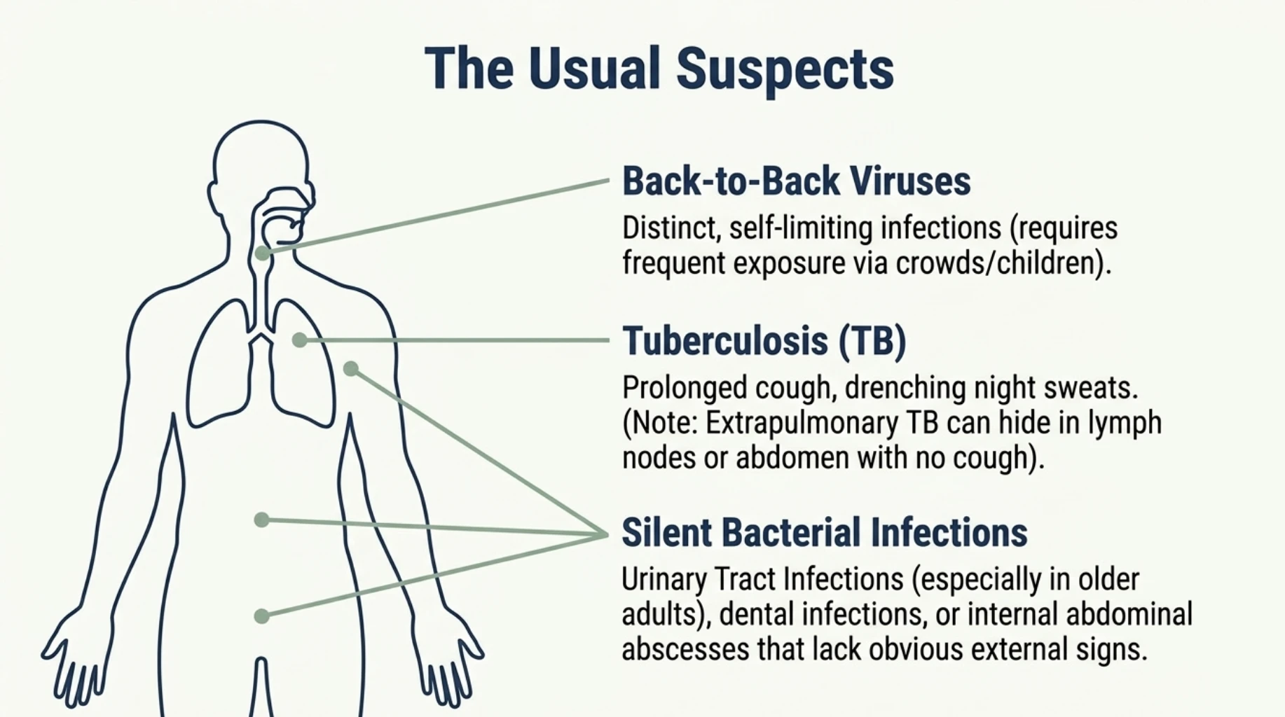 Common causes of recurrent fever in adults including repeated viral infections, tuberculosis and hidden bacterial infections such as UTI, dental infection or abdominal abscess