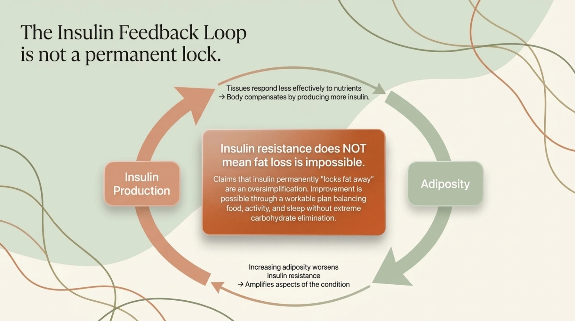 PCOS insulin resistance cycle showing how increased insulin production and excess body fat can reinforce metabolic dysfunction, while lifestyle changes may help improve insulin sensitivity