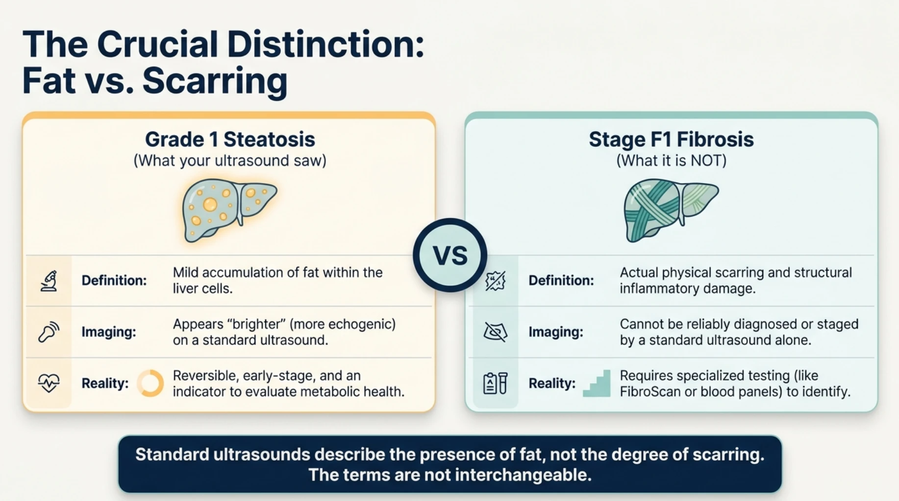 Comparison of Grade 1 fatty liver and Stage F1 liver fibrosis, explaining the difference between mild fat accumulation in liver cells and early liver scarring