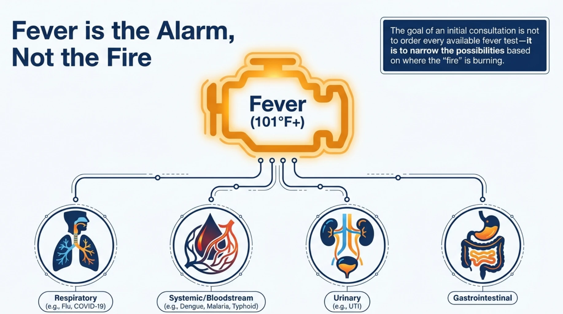 Infographic explaining common causes of fever in adults, including respiratory infections, dengue, malaria, typhoid, urinary tract infections and gastrointestinal illnesses
