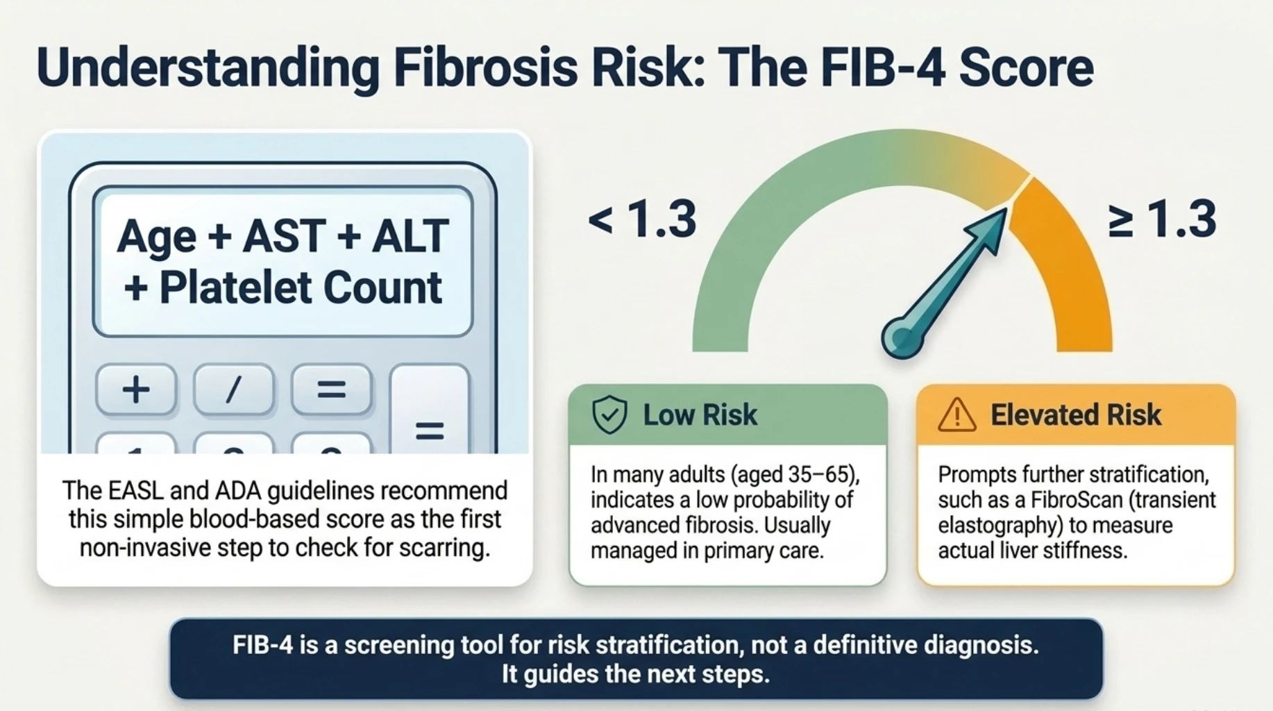 FIB-4 score assessment for fatty liver fibrosis risk using age, AST, ALT and platelet count, showing low-risk and elevated-risk categories that guide further evaluation