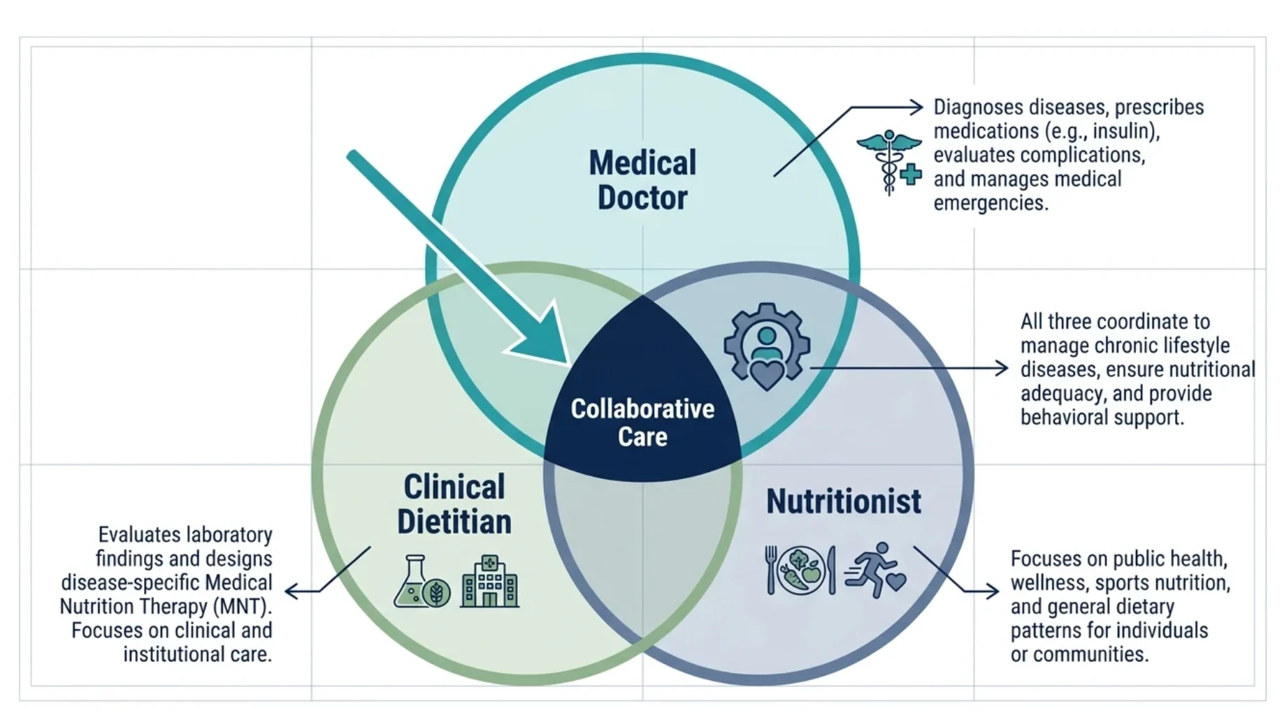 Venn diagram showing how medical doctors, clinical dietitians and nutritionists collaborate in medical nutrition therapy, disease management and lifestyle counselling