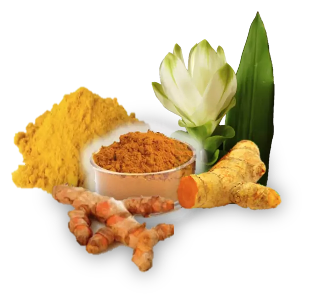 Turmeric