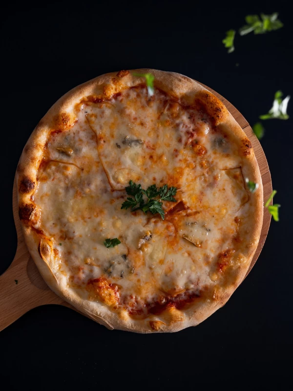 Instant Masala Khakhra Pizza