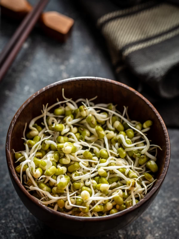 Mung sprouts salad